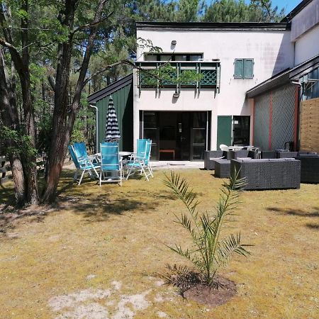 Superbe Appartement Dans La Pinede, Proche Ocean ラカノー エクステリア 写真